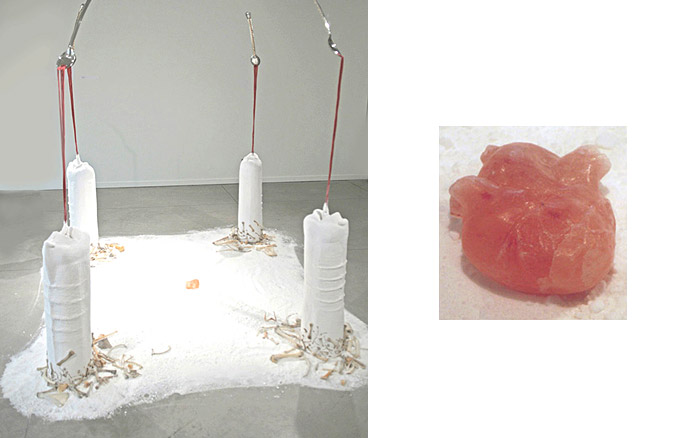 Salt of the Earth | Installation and detail, 2009
