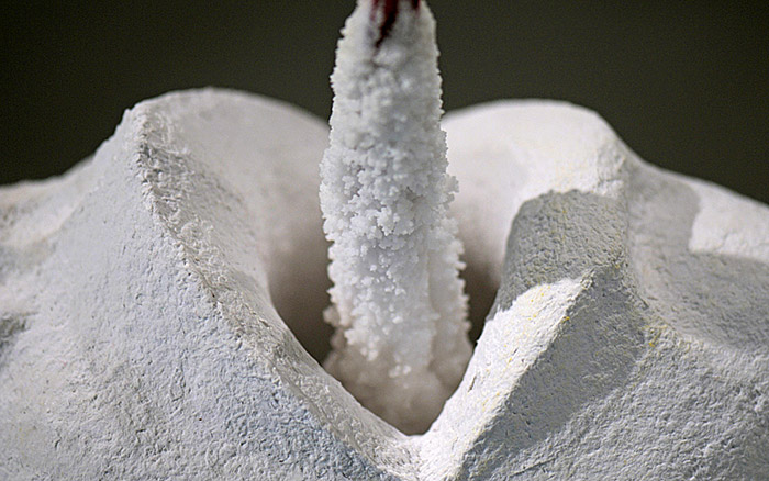 Salt of the Earth | Mouth detail, 2009